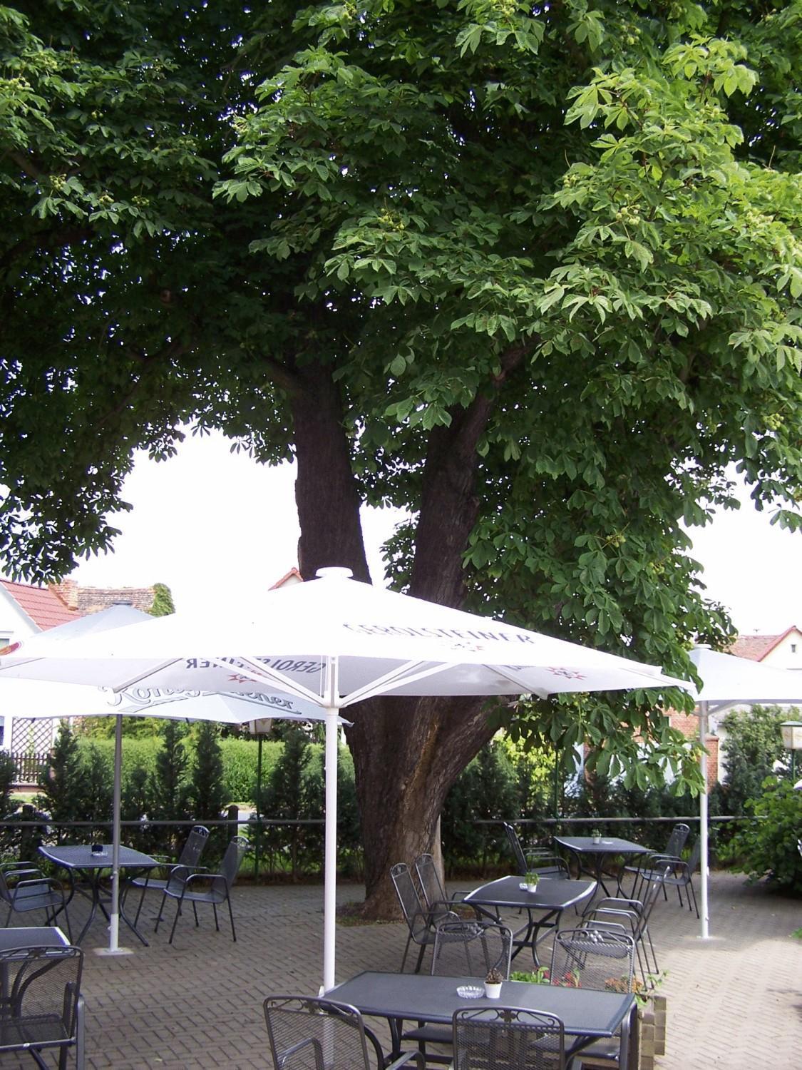 Hotel Glindenberger Hof Exterior foto